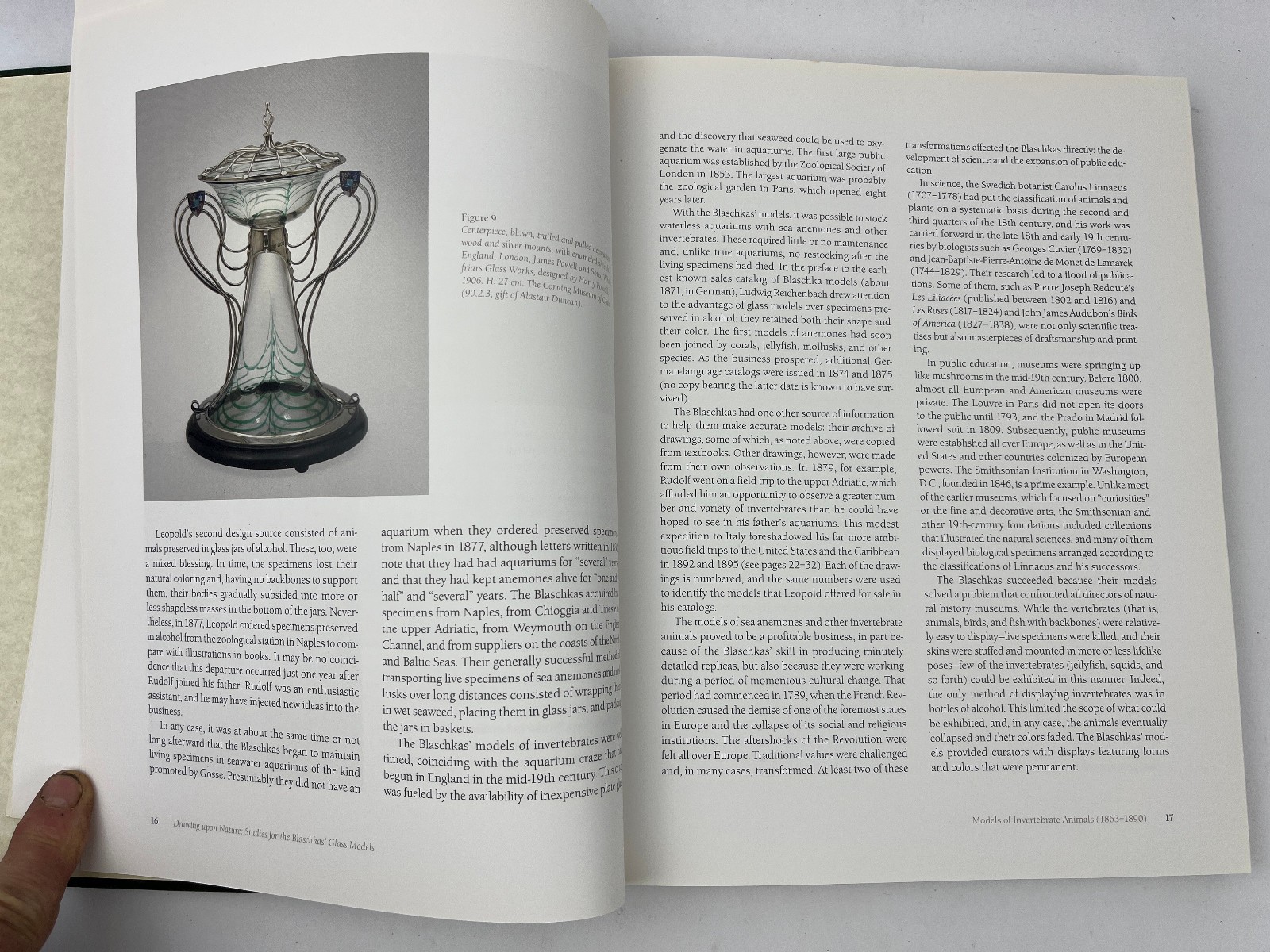 2007 Drawing Upon Nature: Studies for the Blaschkas’ Glass Models Botanical Ills