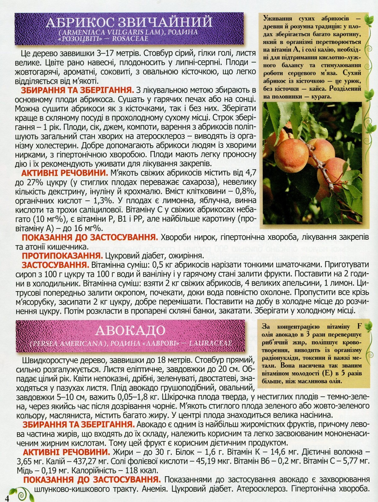 Book In Ukrainian Повний атлас лікарських рослин Author not specified Complete