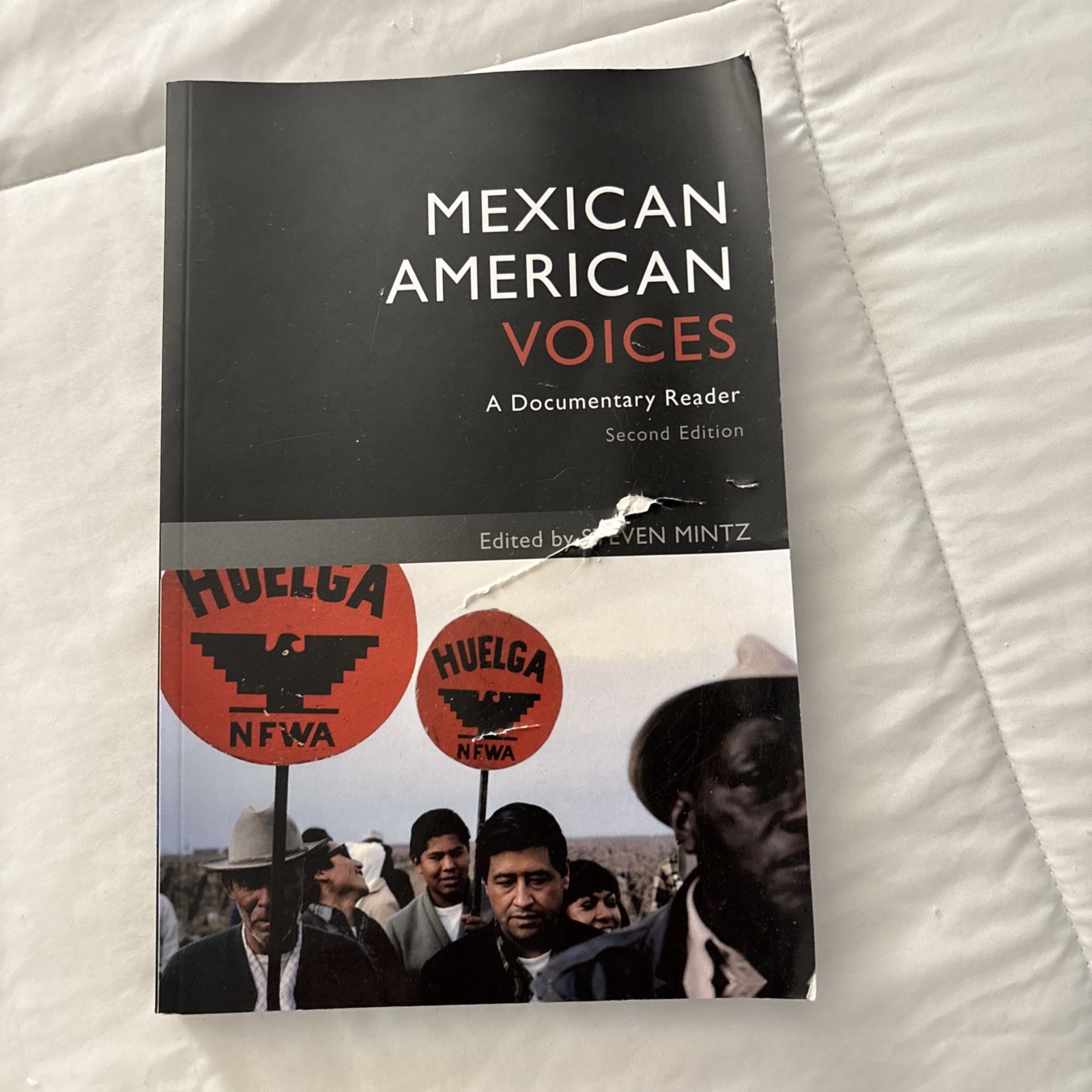 Mexican American Voices : A Documentary Reader Paperback