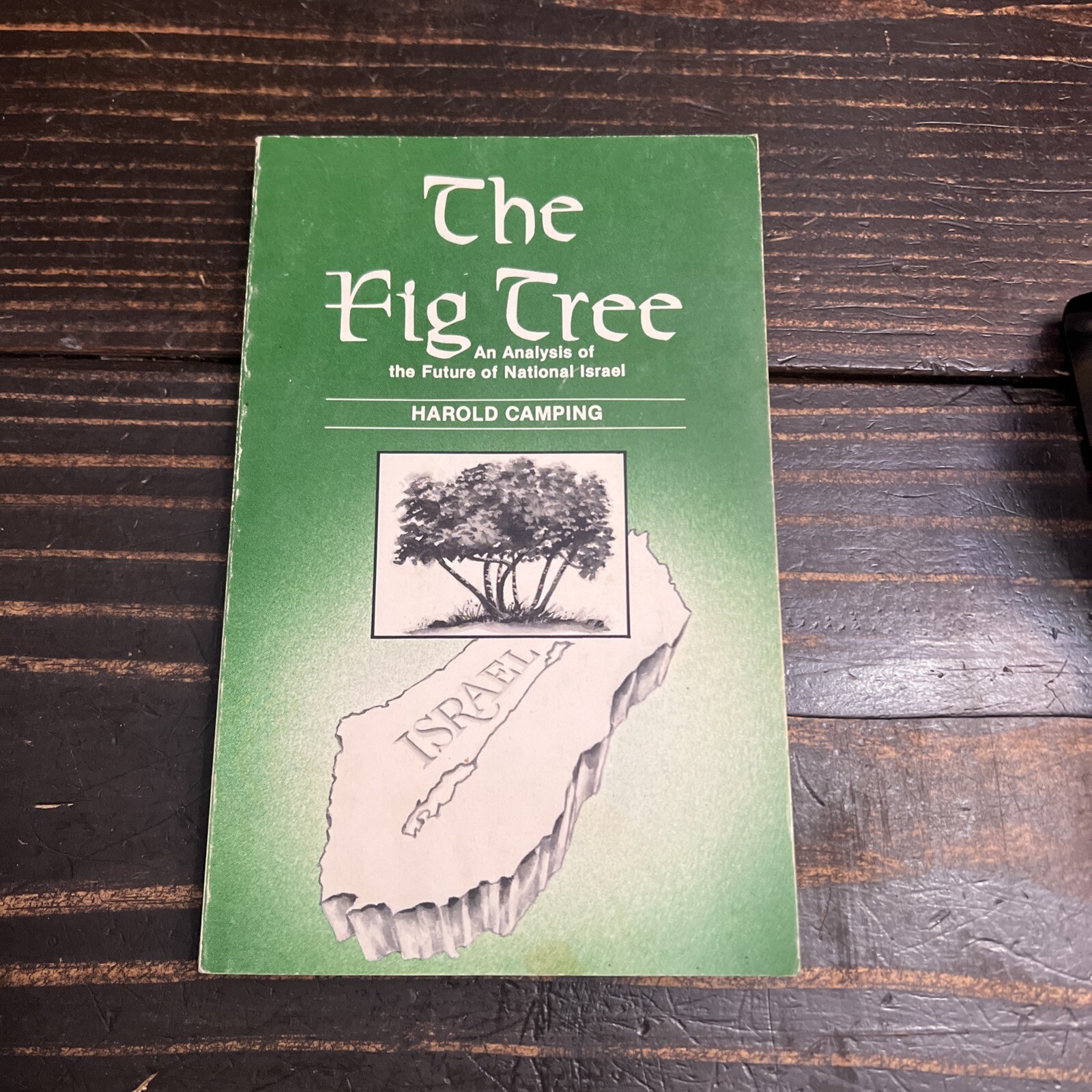 The Fig Tree a Biblical Analysis of the Past, Present and Future of National…