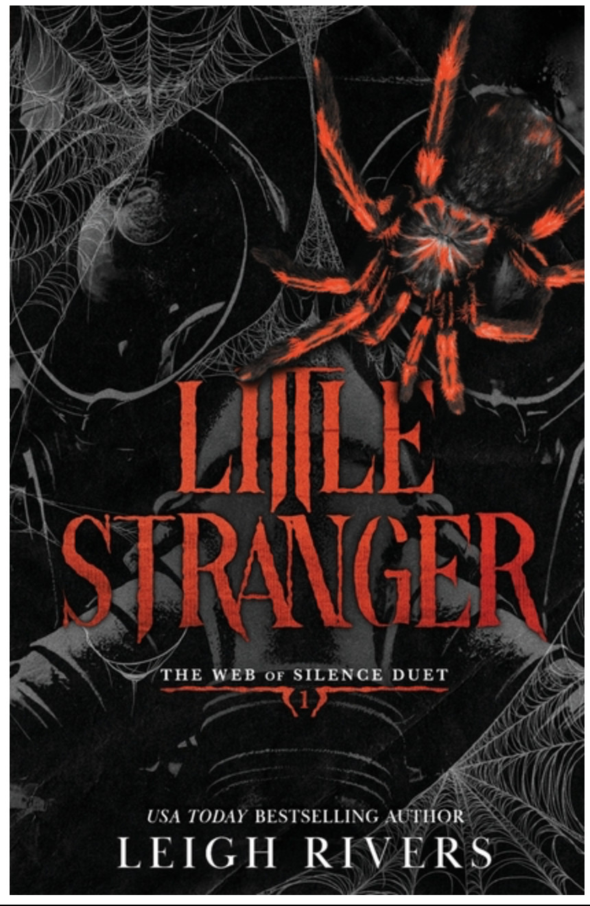 Little Stranger | Leigh Rivers | NEW Paperback