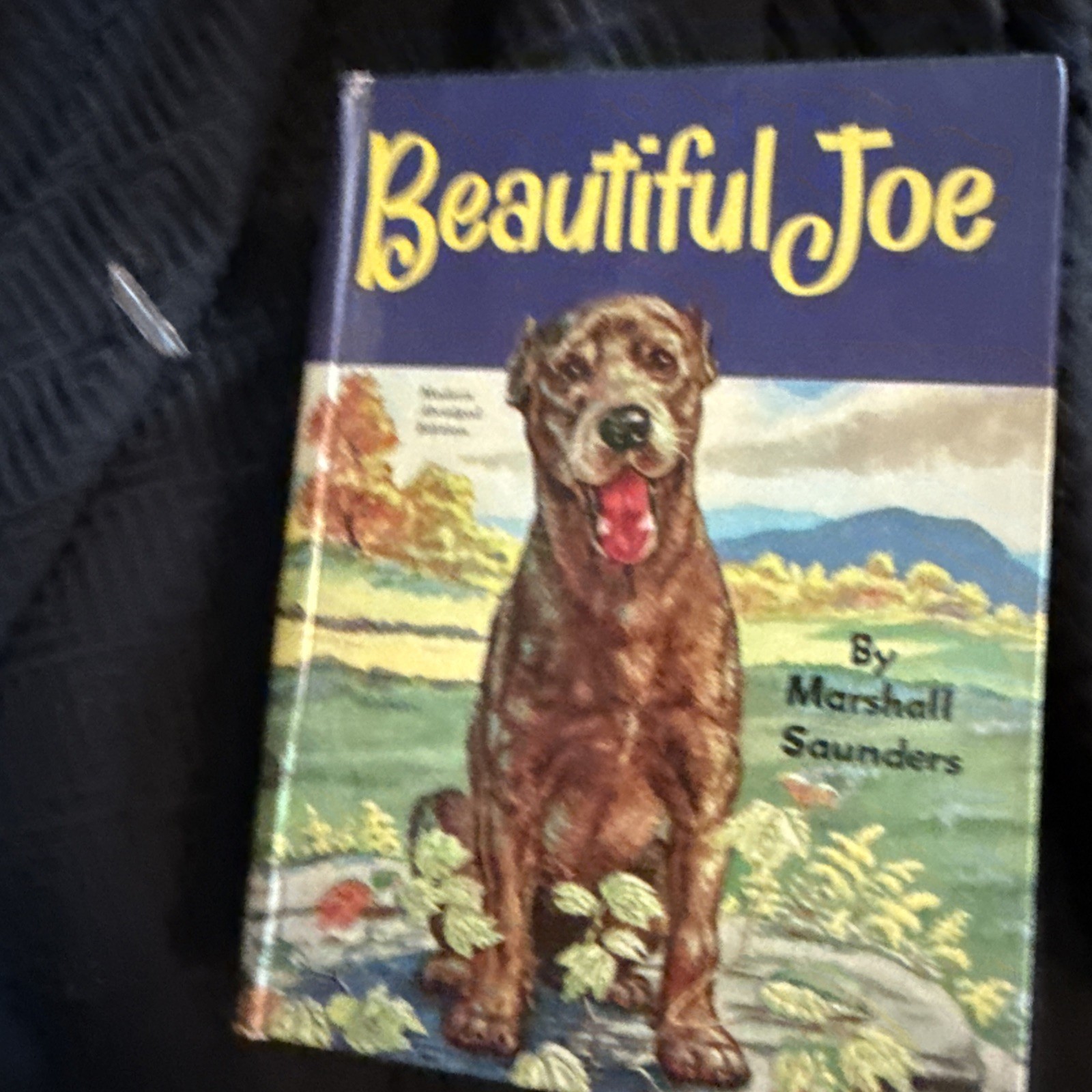7 Whitman Books, beautiful Joe, the Wizard of Oz, five little peppers midway. Bl
