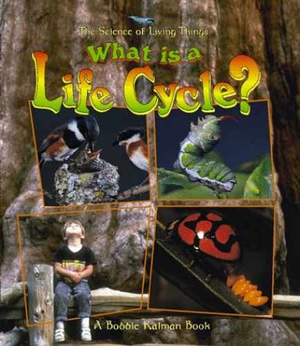What Is a Life Cycle? (Science of – Paperback, by Kalman Bobbie – Very Good x