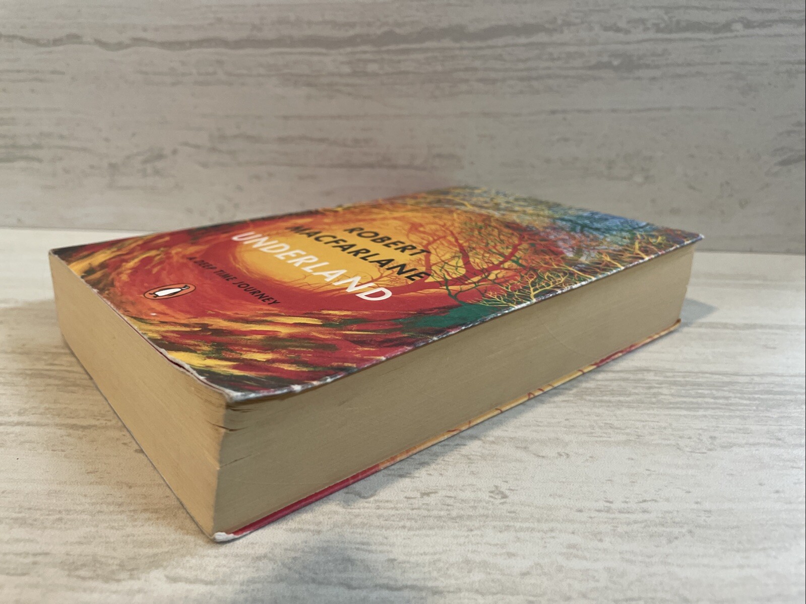 Underland by Robert Macfarlane. Paperback