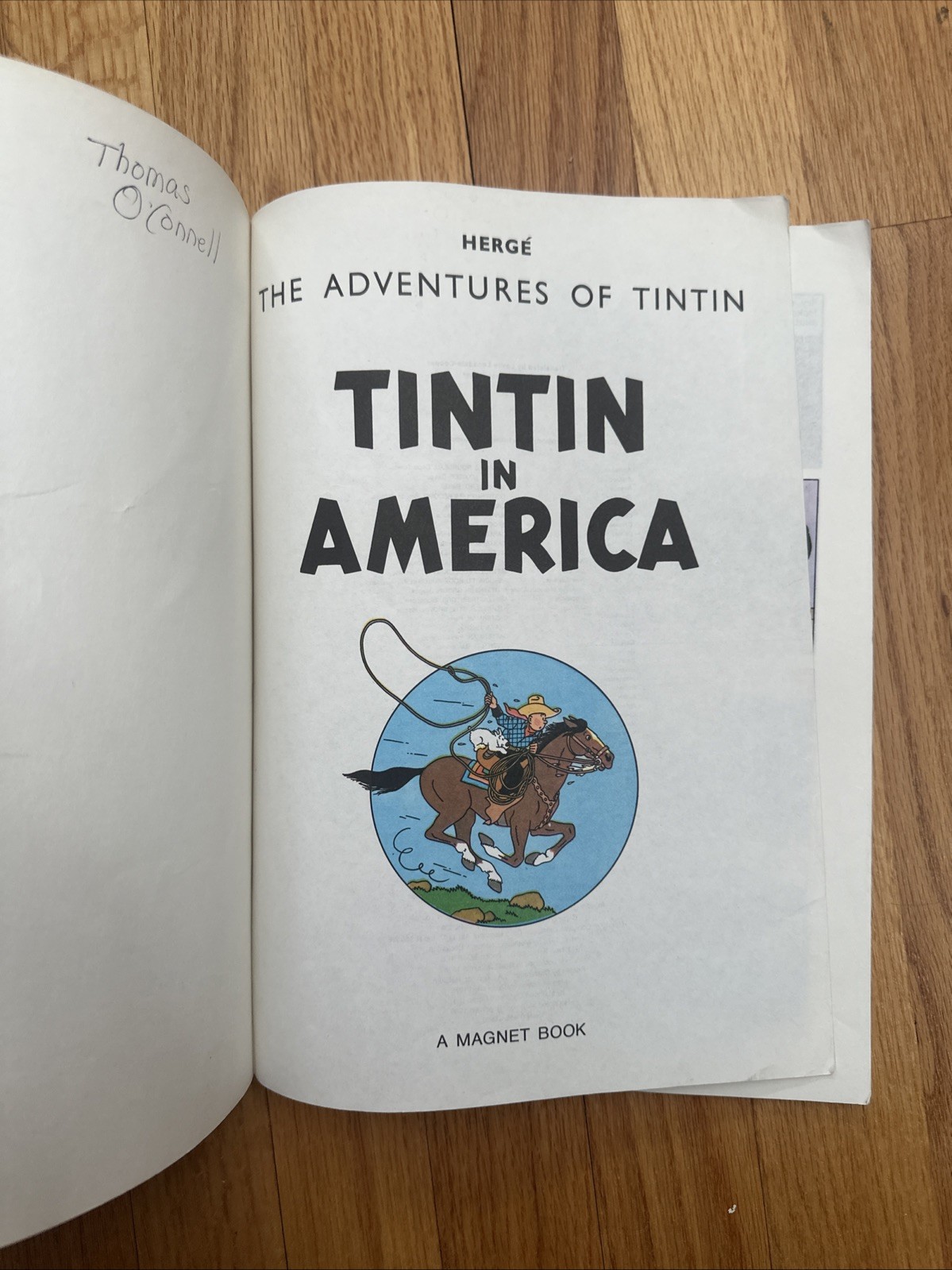 Tintin in America