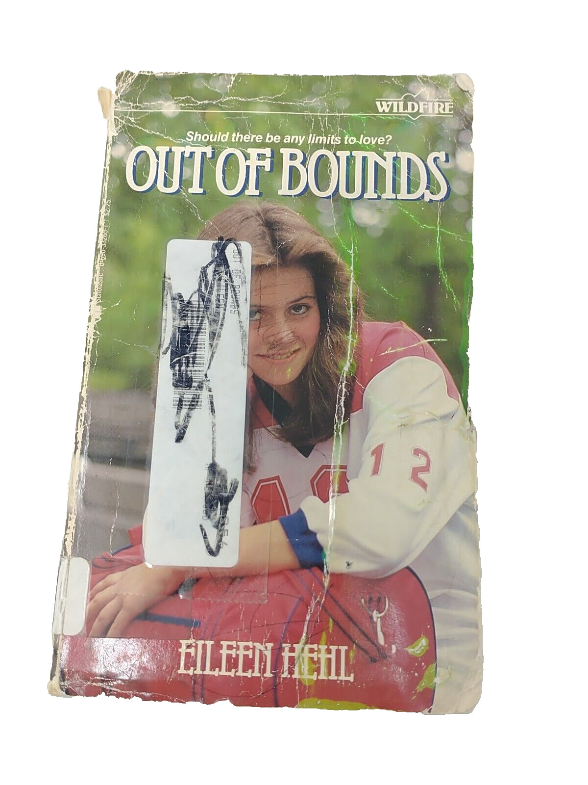 Out of Bounds by Eileen Hehl 1985