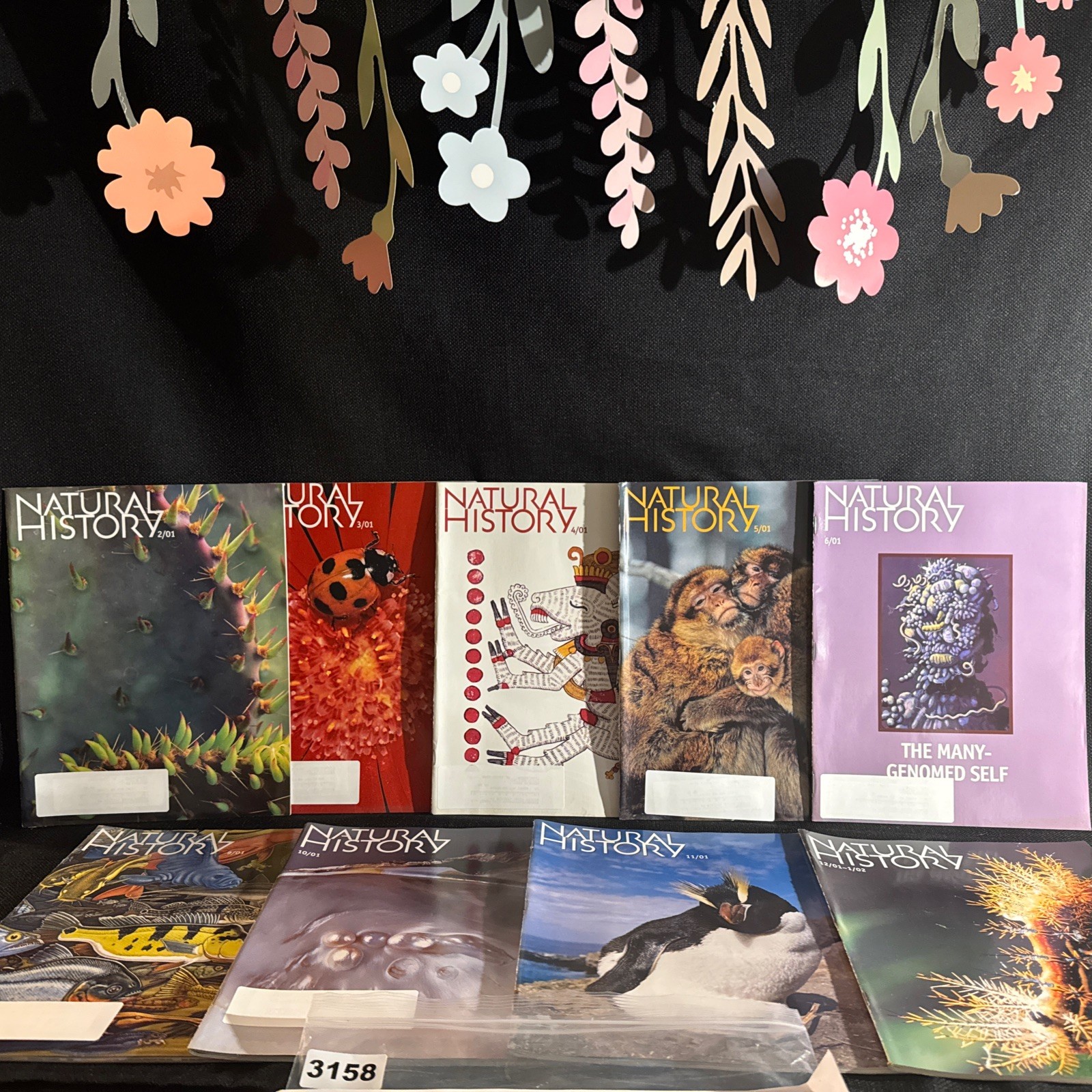 Natural History Magazines 2001 Lot Of 9 Vintage