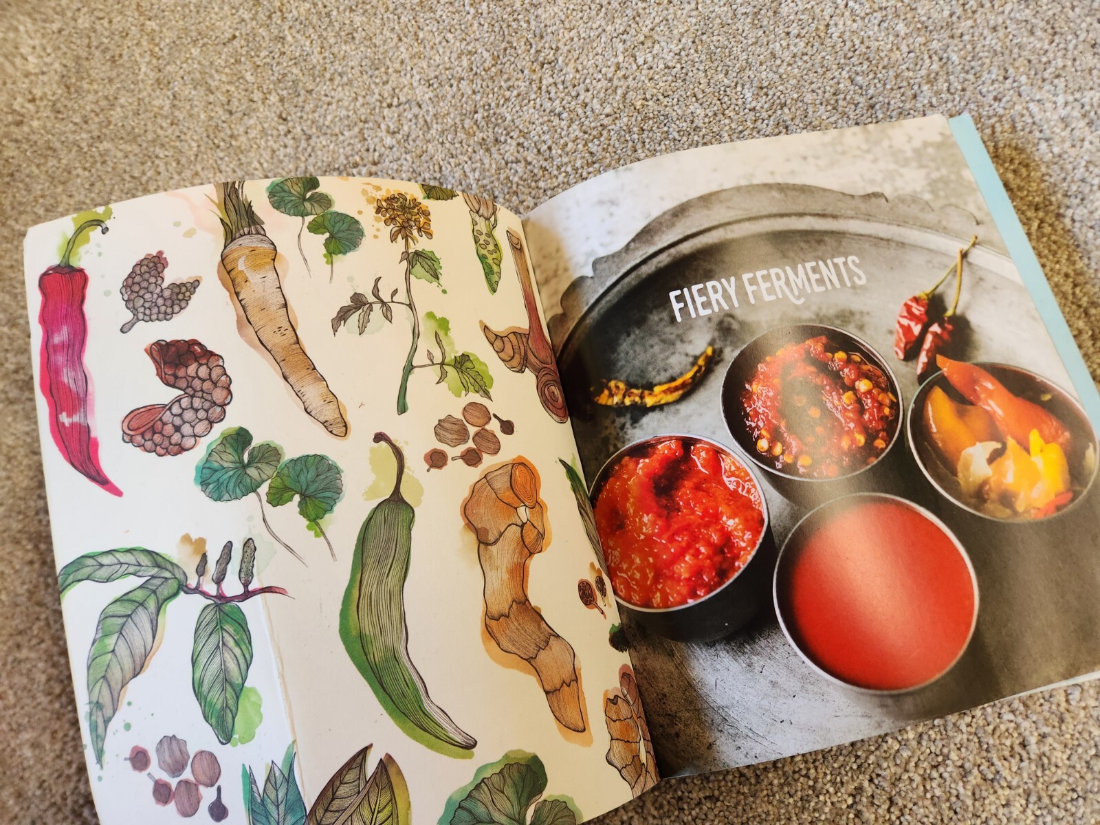Fiery Ferments : 70 Stimulating Recipes for Hot Sauces, Spicy Chutneys, Kimchis