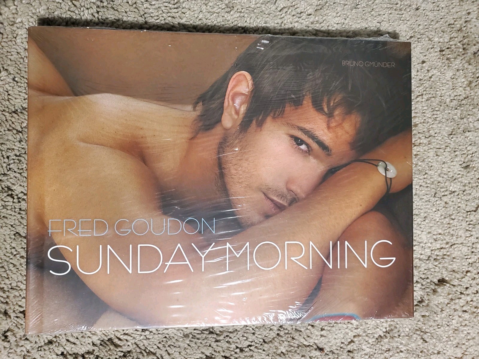 Sunday Morning by Fred Goudon (2007, Hardcover) Brand New Sealed