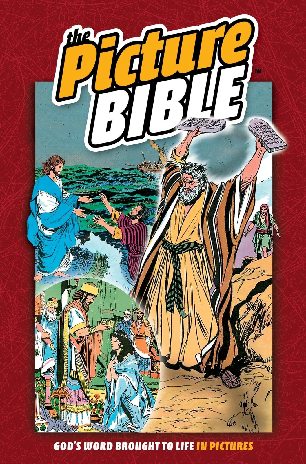 THE PICTURE BIBLE Gods Word Brought To Life – Illustrated Kids Beginner IVA HOTH