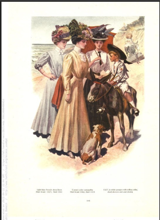 THE DELINEATOR 1900S 110 Unique Issues In PDF Format On USB Flash Drive
