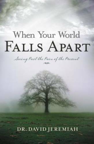 When Your World Falls Apart: See Past the Pain of the Present – Paperback – GOOD