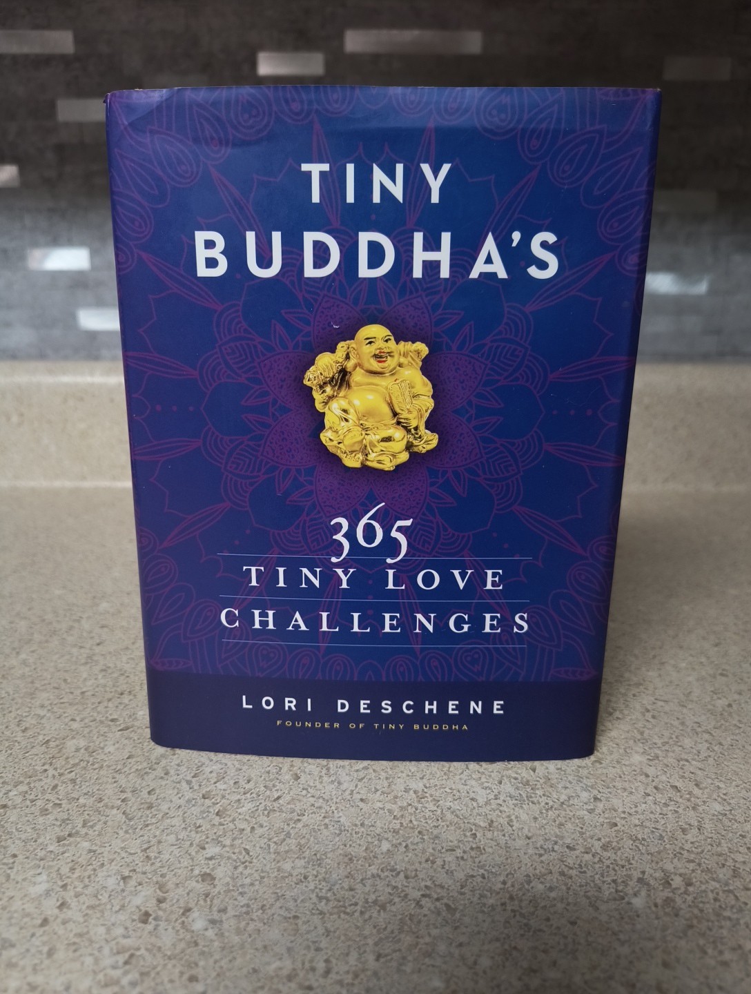 Tiny Buddha’s 365 Tiny Love Challenges – 485 Pages – FREE SHIPPING!