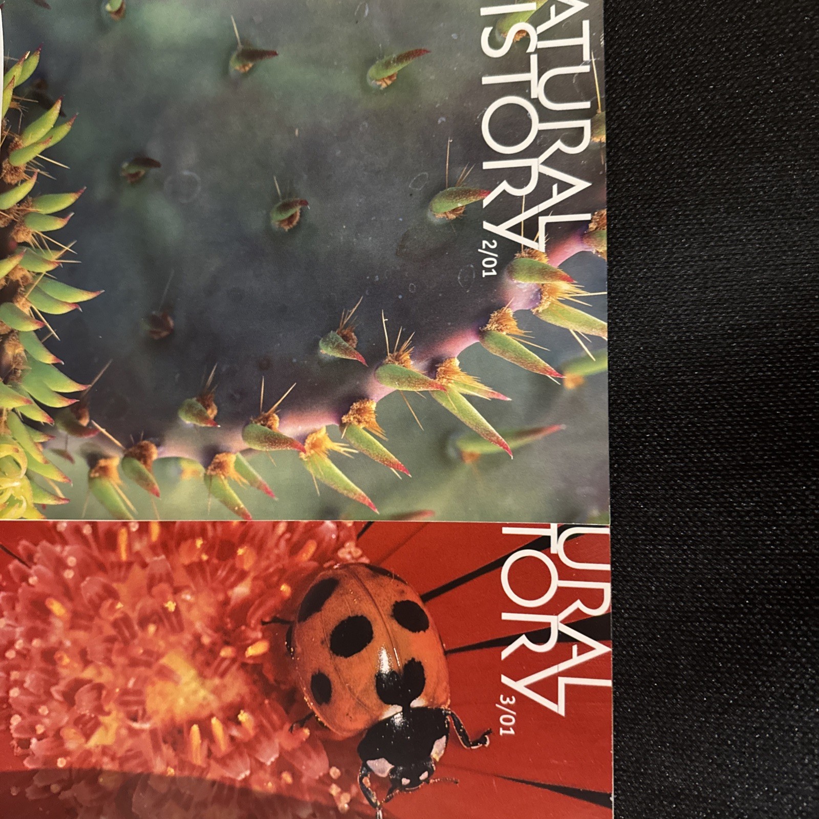 Natural History Magazines 2001 Lot Of 9 Vintage