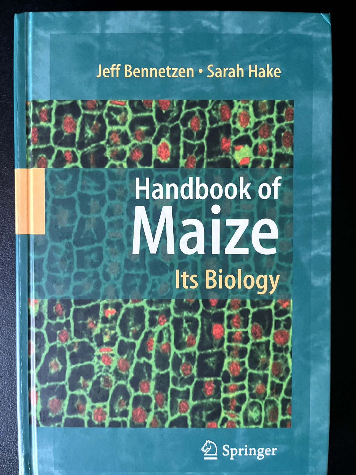 Handbook of Maize : Its Biology, Hardcover by Bennetzen, Jeff L.; Hake, Sarah.