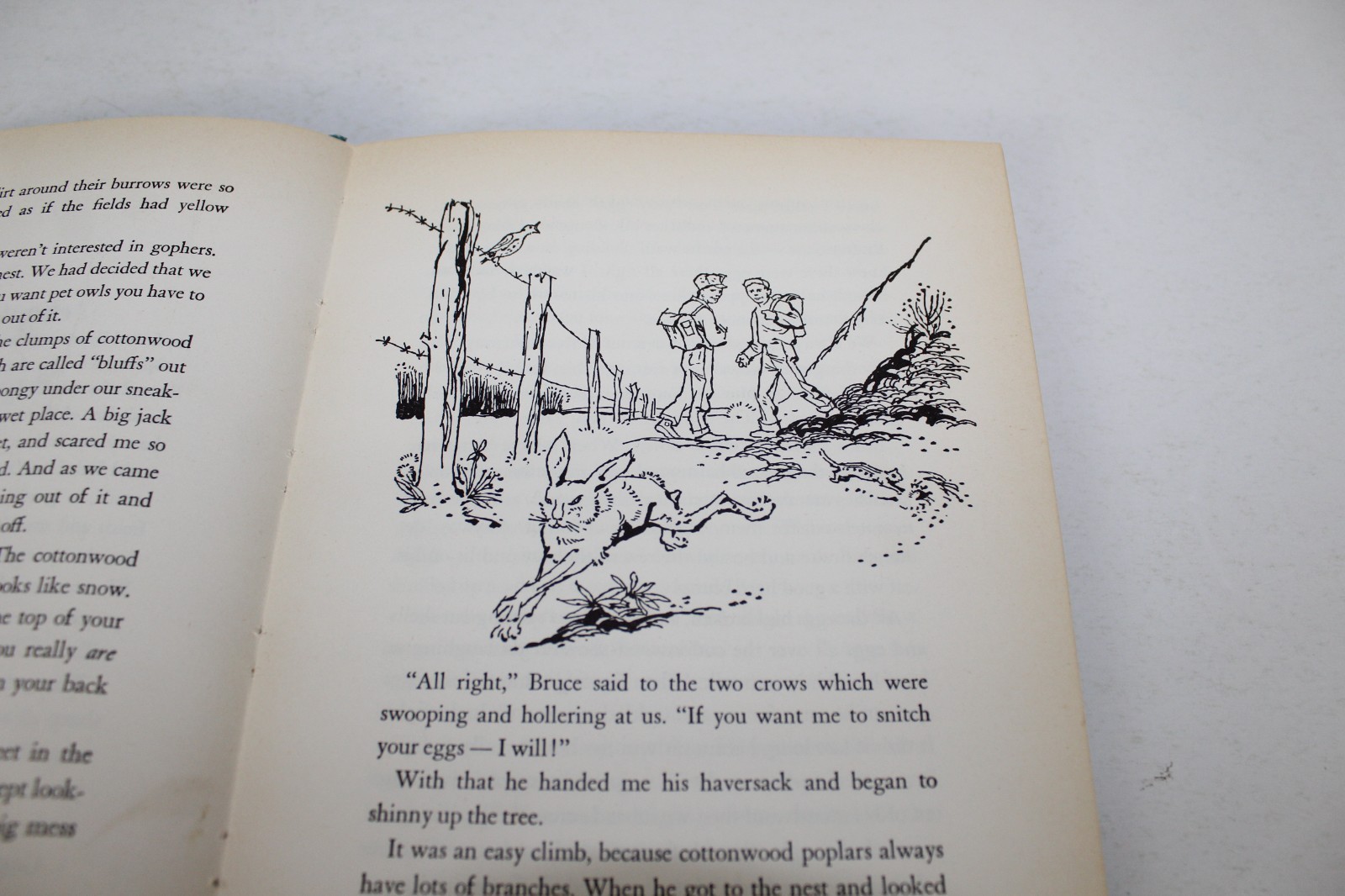 Owls in the Family by Farley Mowat – Copyright 1961, HC, Weekly Reader Edition