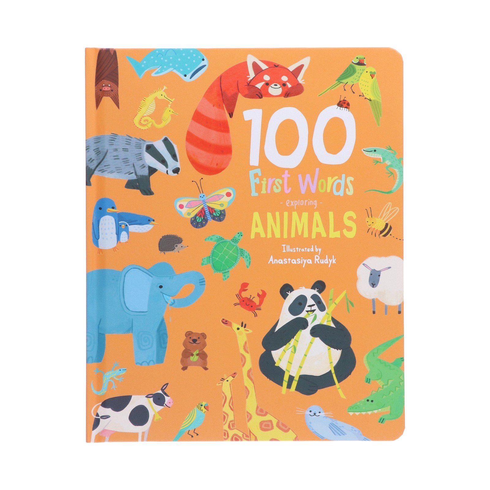 100 First Words Exploring Animals By Sweet Cherry Publishing – Ages 3-5-BB