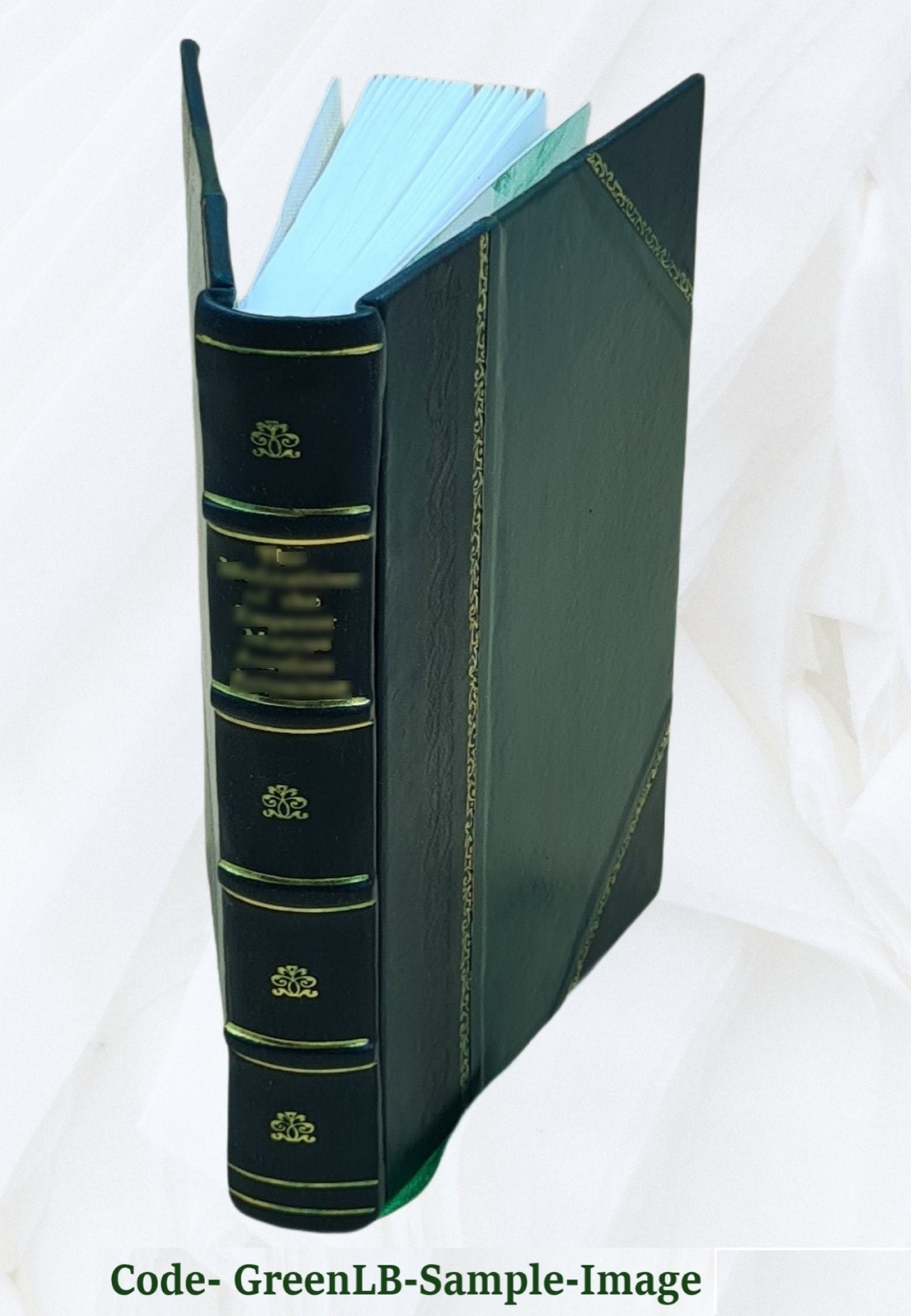 Revised Odd-Fellowship Illustrated The Complete Revised Ritual O [Leather Bound]