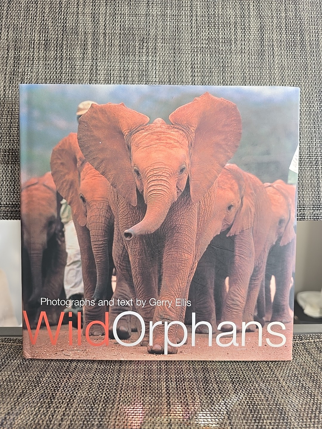 Wild Orphasn- Photograhs And Text- By Gerry Ellis