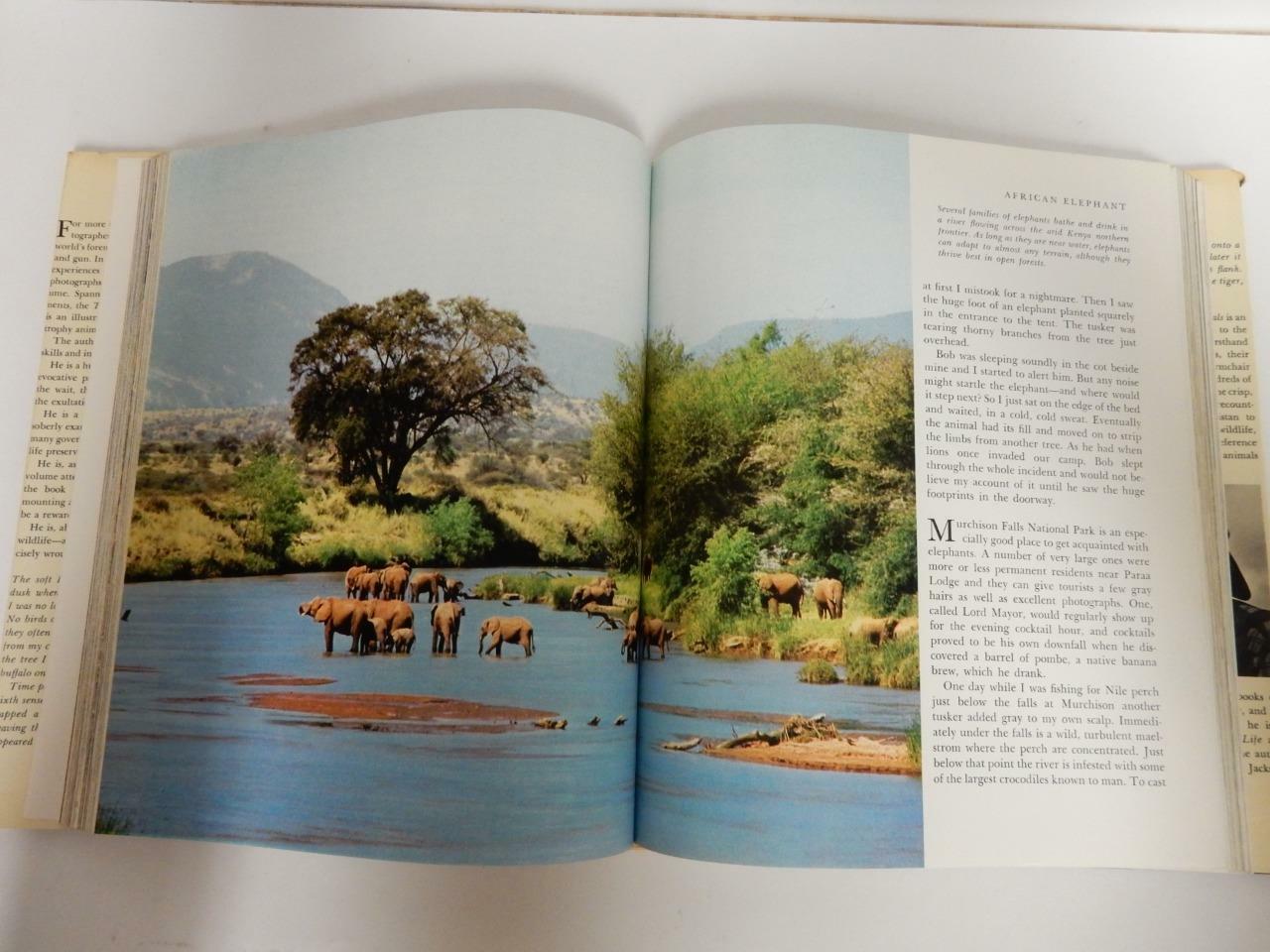 1972 AN OUTDOOR LIFE BOOK, TREASURY OF BIG GAME ANIMALS, BY ERWIN BAUER #HH34