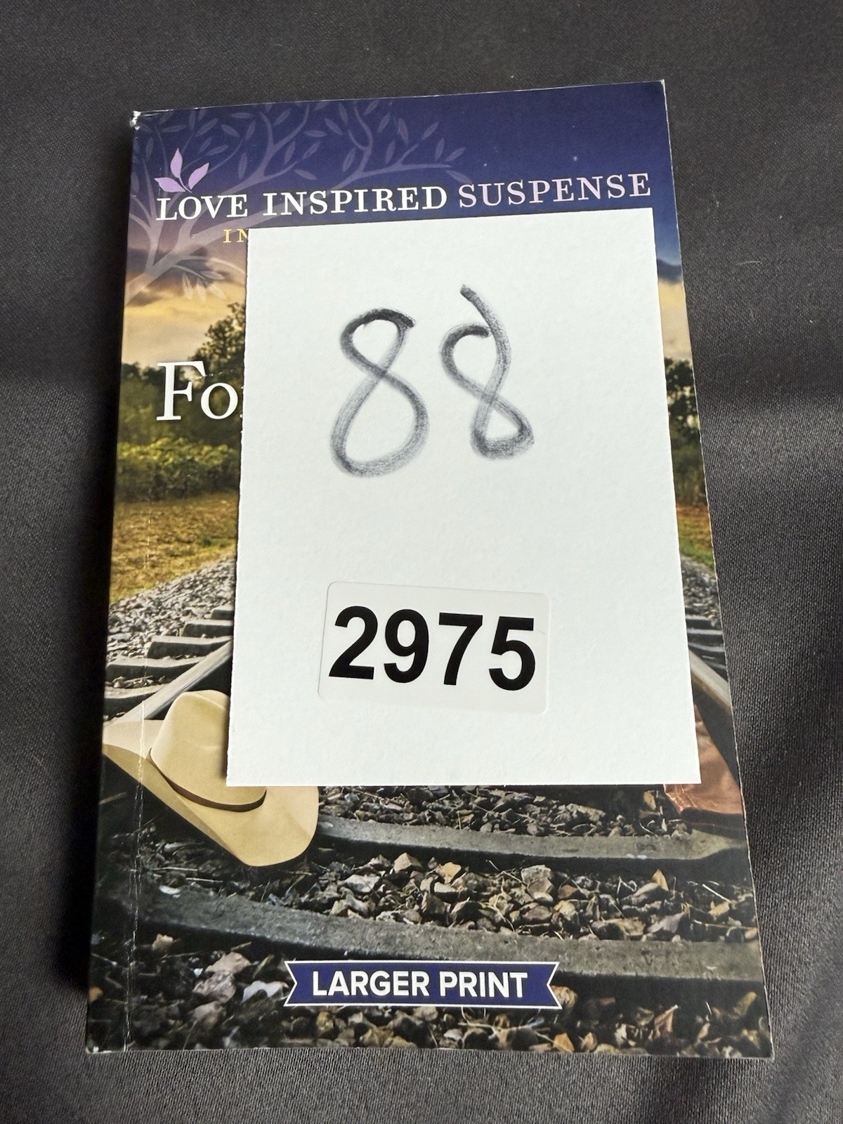 Love Inspired Suspense: Forced To Hide By Terri Reed~2023~Larger Print~Paperback