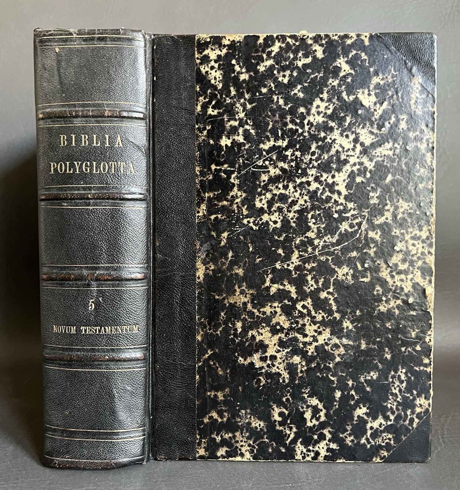 Antique Biblia Polyglotta Polyglot Bible 1854