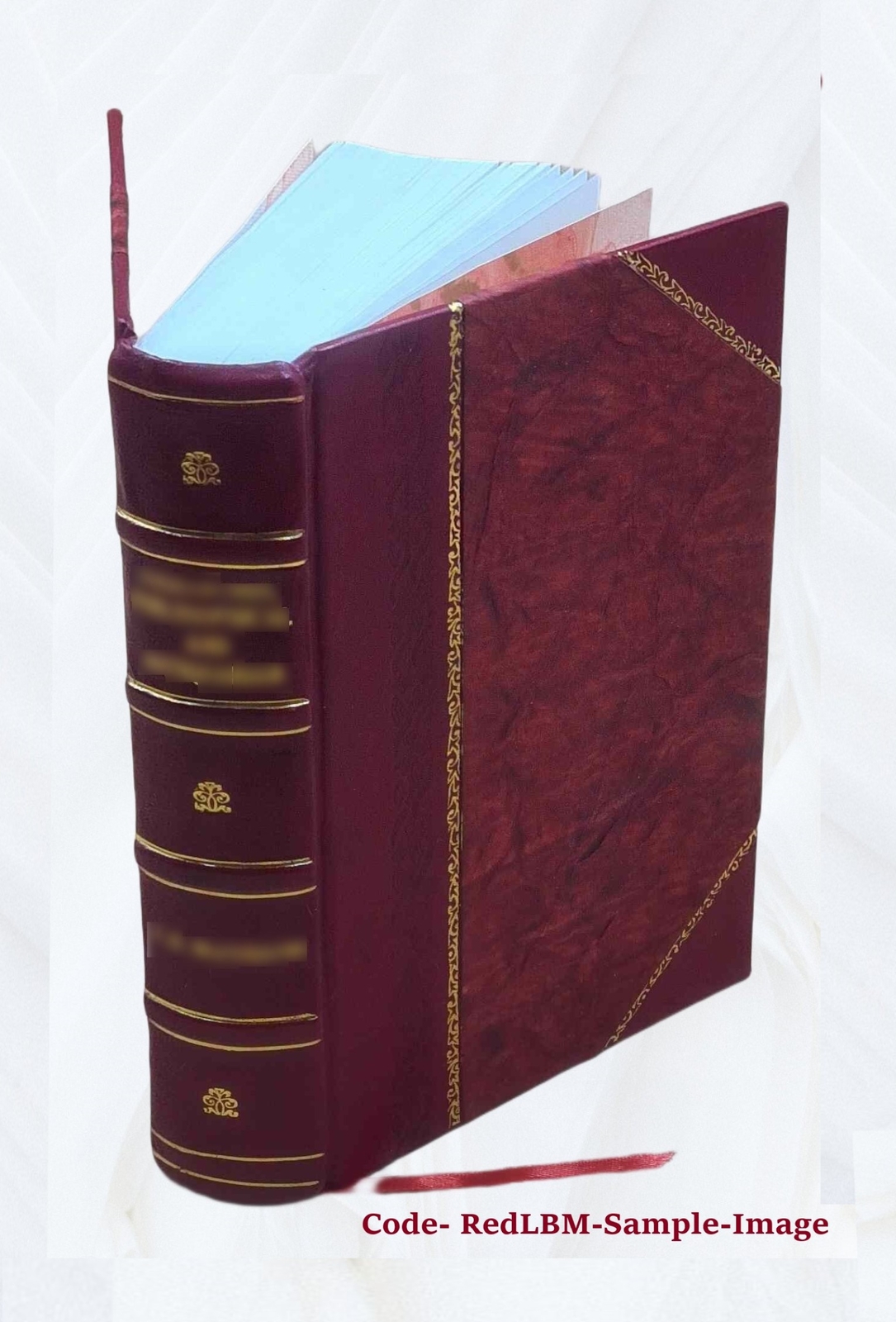 Commentaries On Equity Pleadings 1892 [Leather Bound]