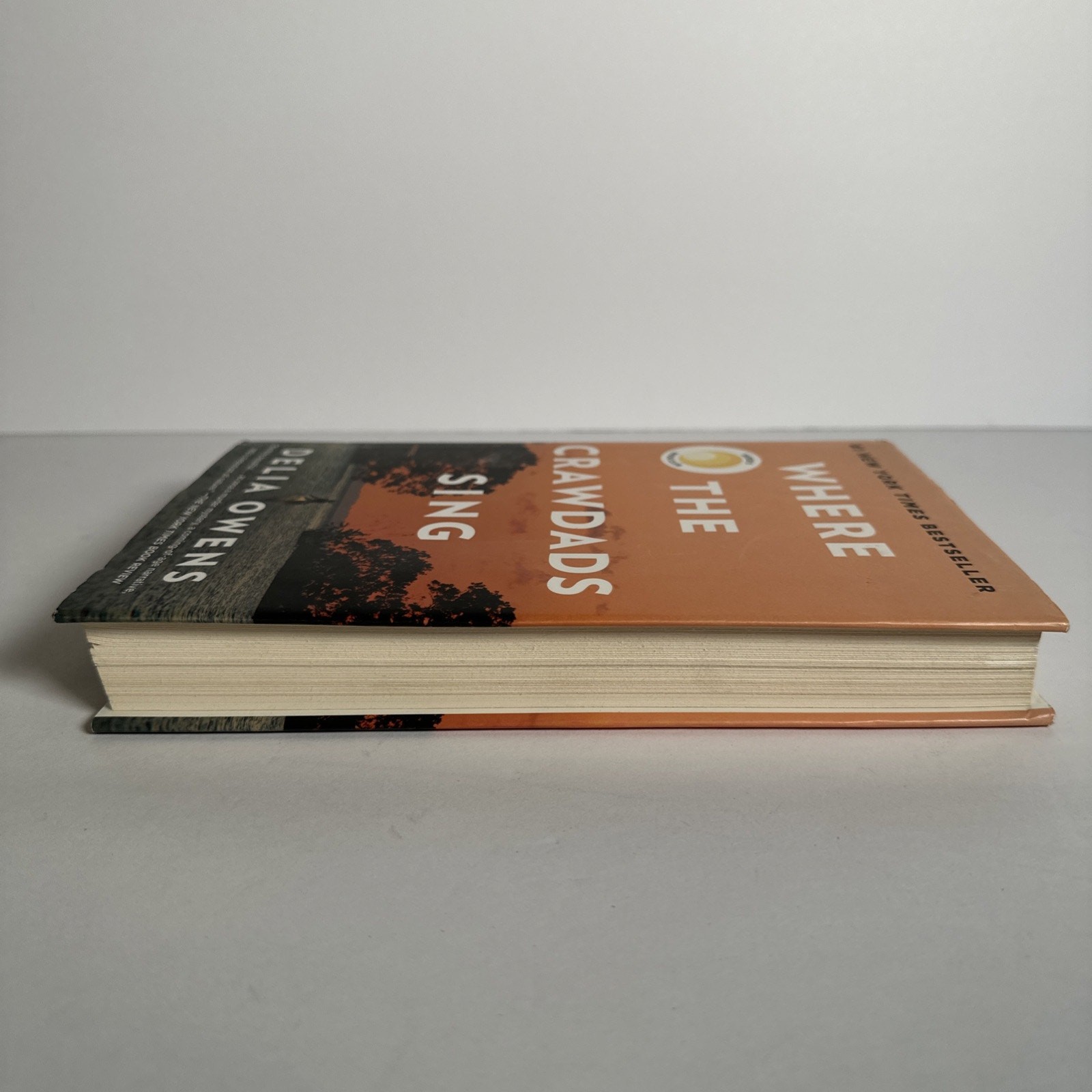 Where the Crawdads Sing – Hardcover By Owens, Delia – GOOD