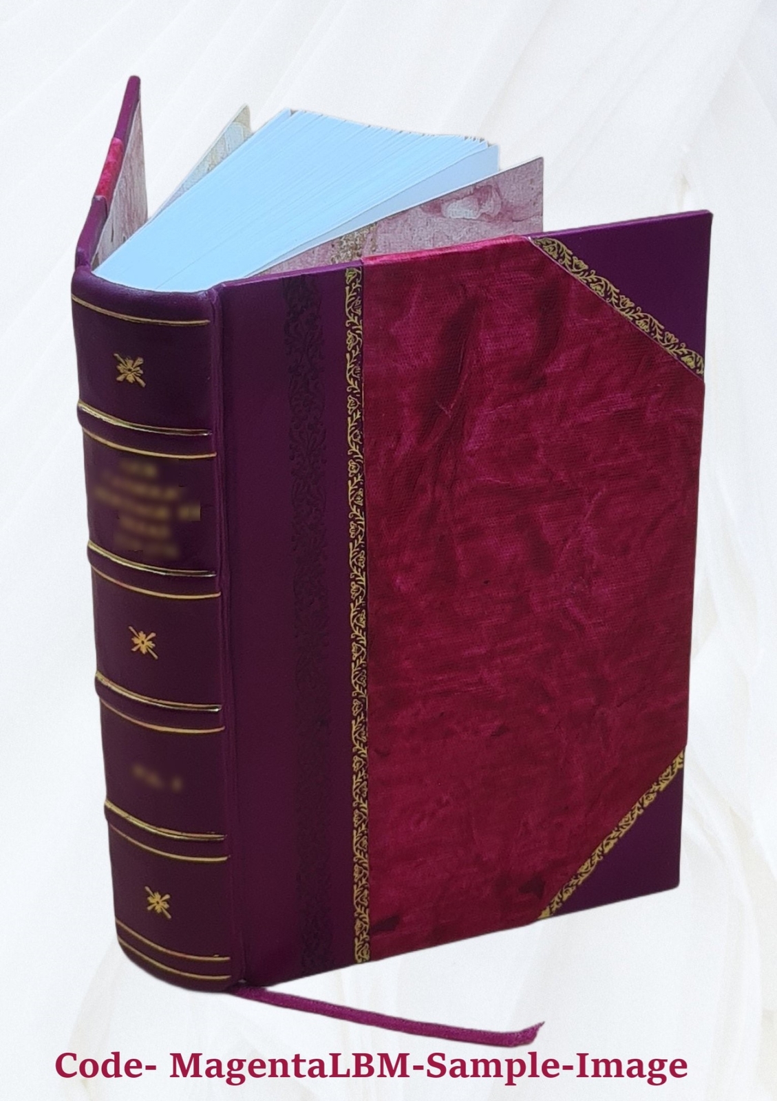 Commentaries On Equity Pleadings 1892 [Leather Bound]