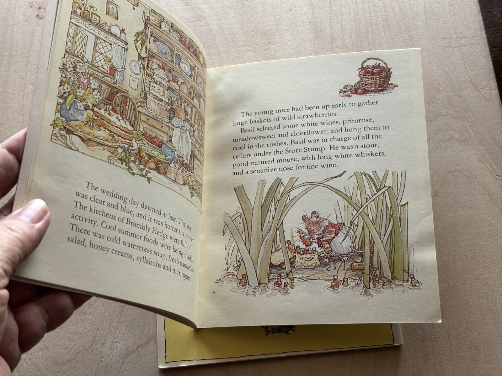 Vintage Brambly Hedge PB LOT of 2 Summer Spring Story Jill Barklem 1987