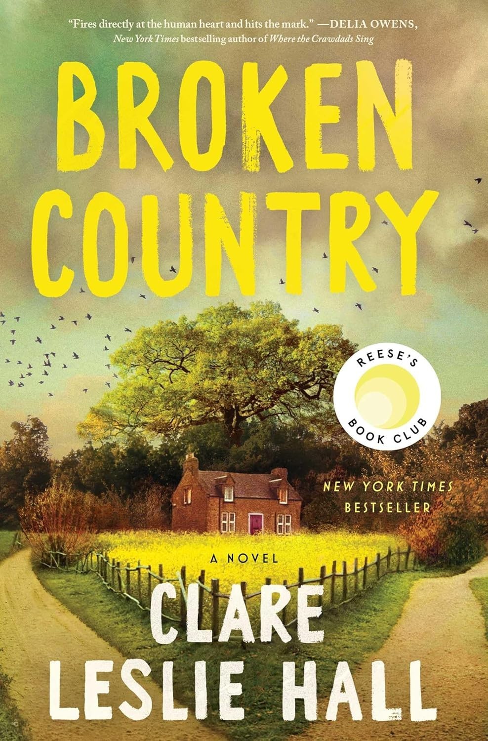 Broken Country Paperback by Clare Leslie Hall (Author)