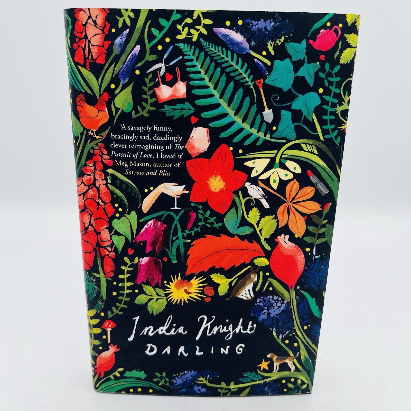 DARLING by INDIA KNIGHT – Fig Tree Publishing – 2022 First Edition HC DJ
