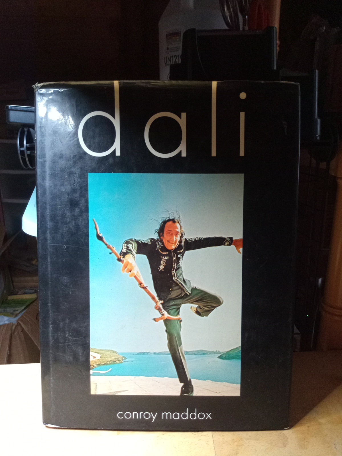 Dali Surrealist Artist Maddox Conroy Random House 1979 Hardcover DJ 1st