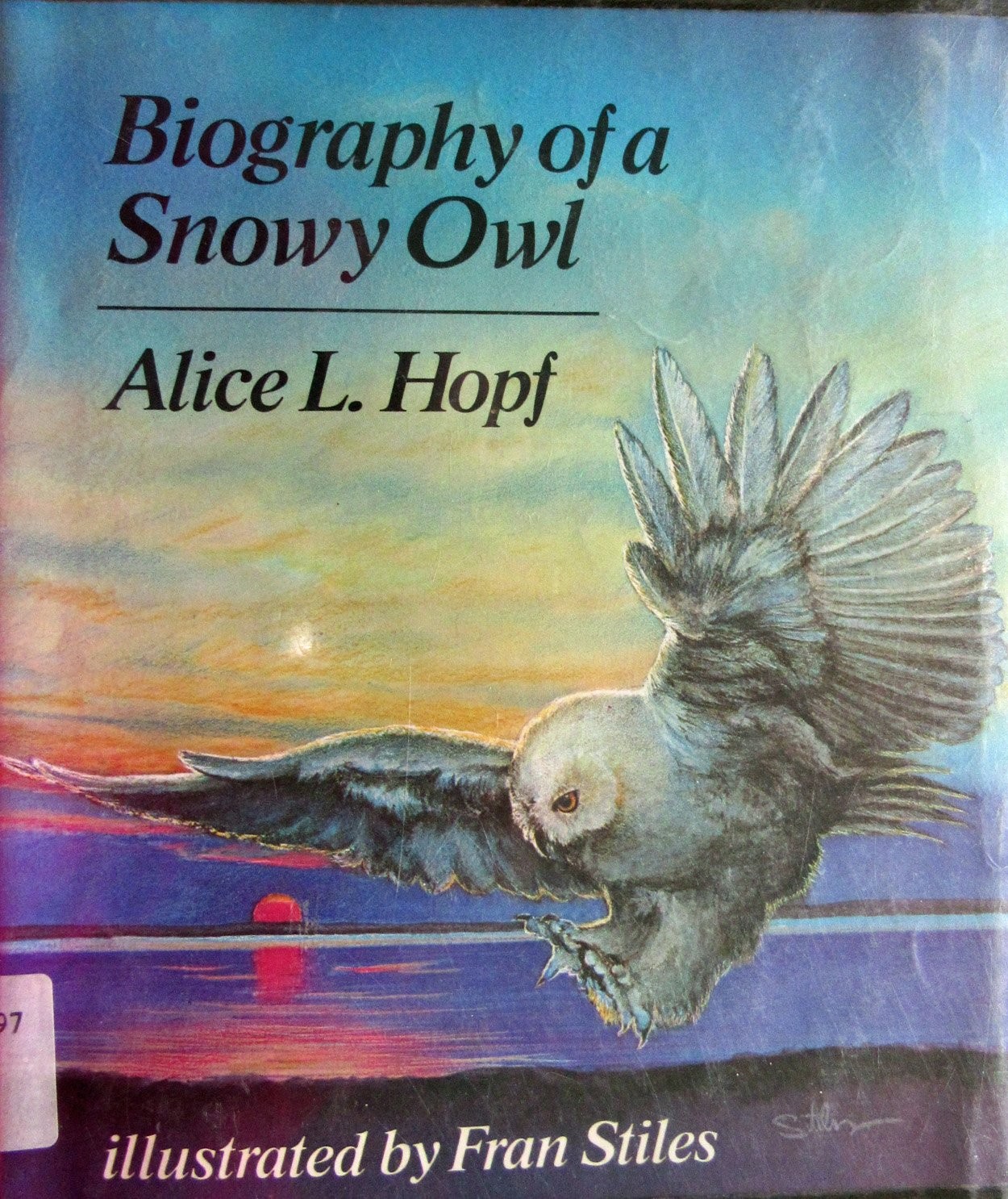 Biography of a Snowy Owl