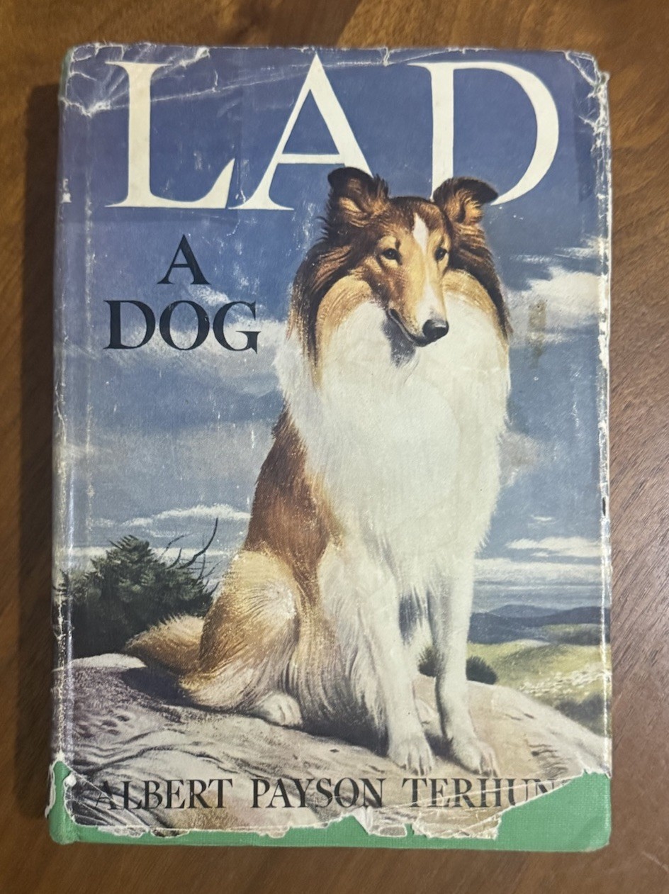 ✨Vintage Hardcover DJ “Lad a Dog” by Albert Payson Terhune 1947 Collie Dog