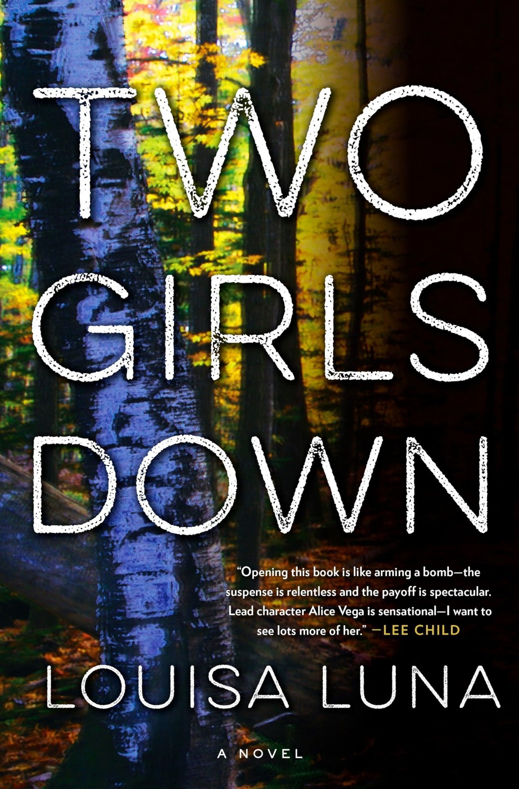 Two Girls Down: A Novel (An Alice Vega Novel)