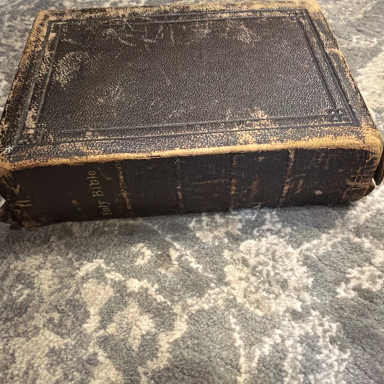 The Holy Bible 1881 New York American Bible Society Original Tongues.