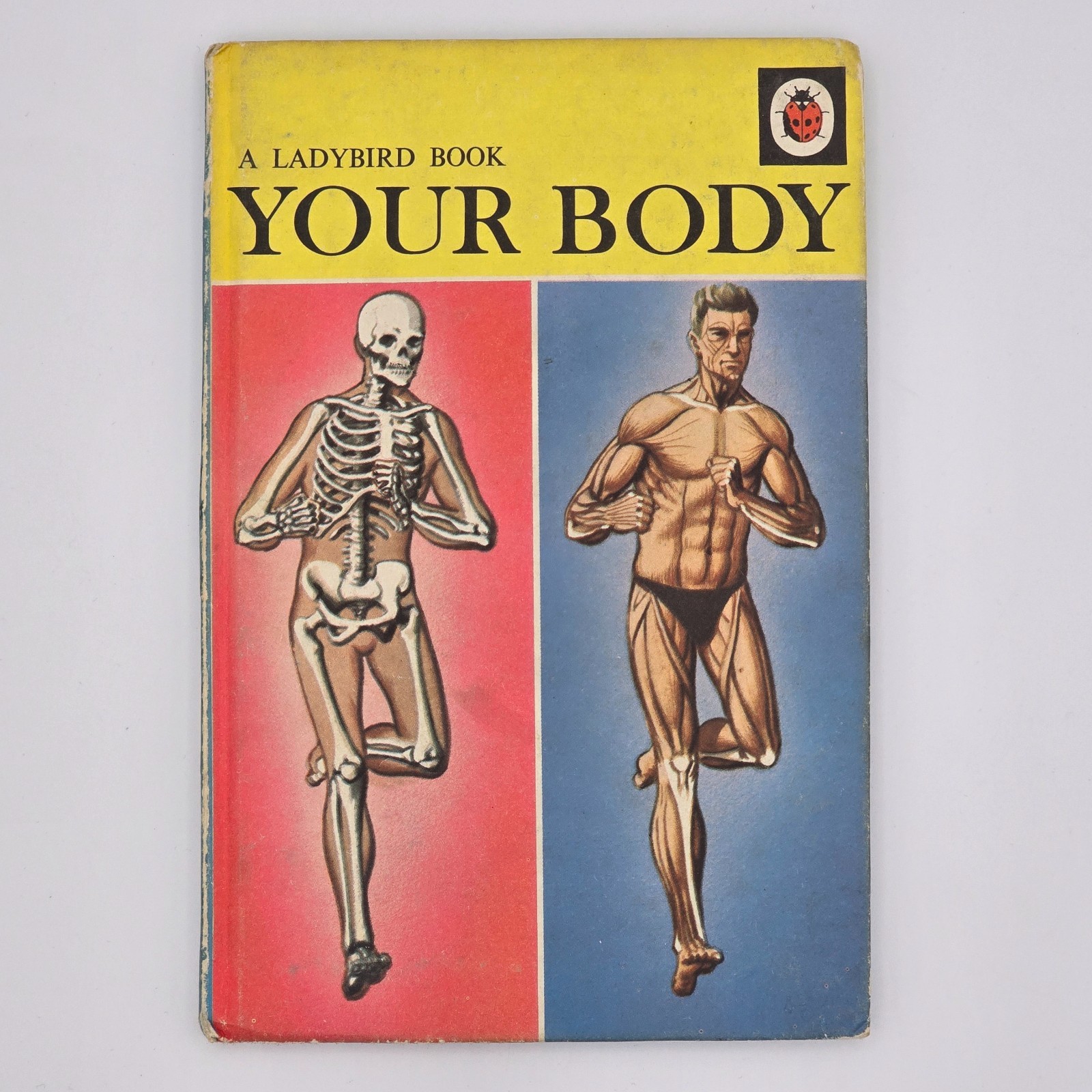 Ladybird Your Body Series 536 1967 First Edition Vintage Science Education Book