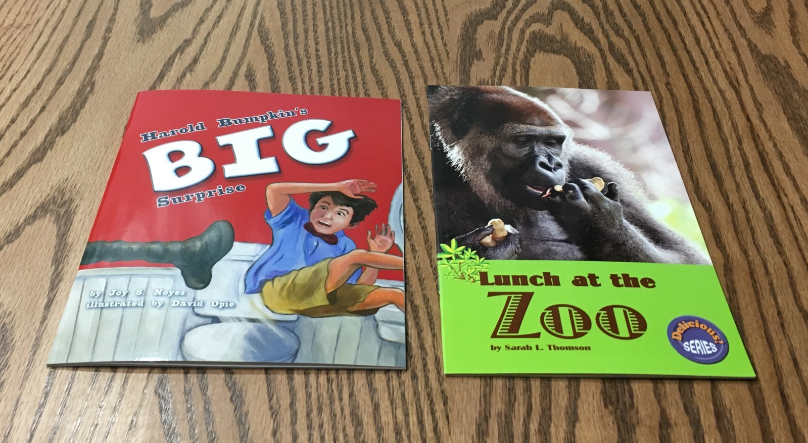 FOUNTAS & PINNELL LEVELED LITERACY INTERVENTION 12 COLOR READERS / RED LEVEL K