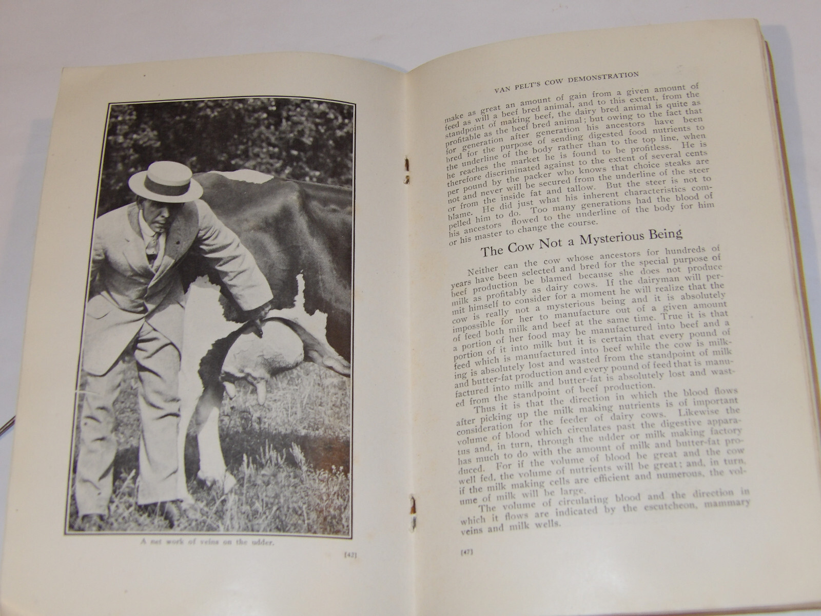 1911 VAN PELT’S COW DEMONSTRATION BOOK! 1st EDITION! ILLUSTRATED! 5 ESSENTIALS!