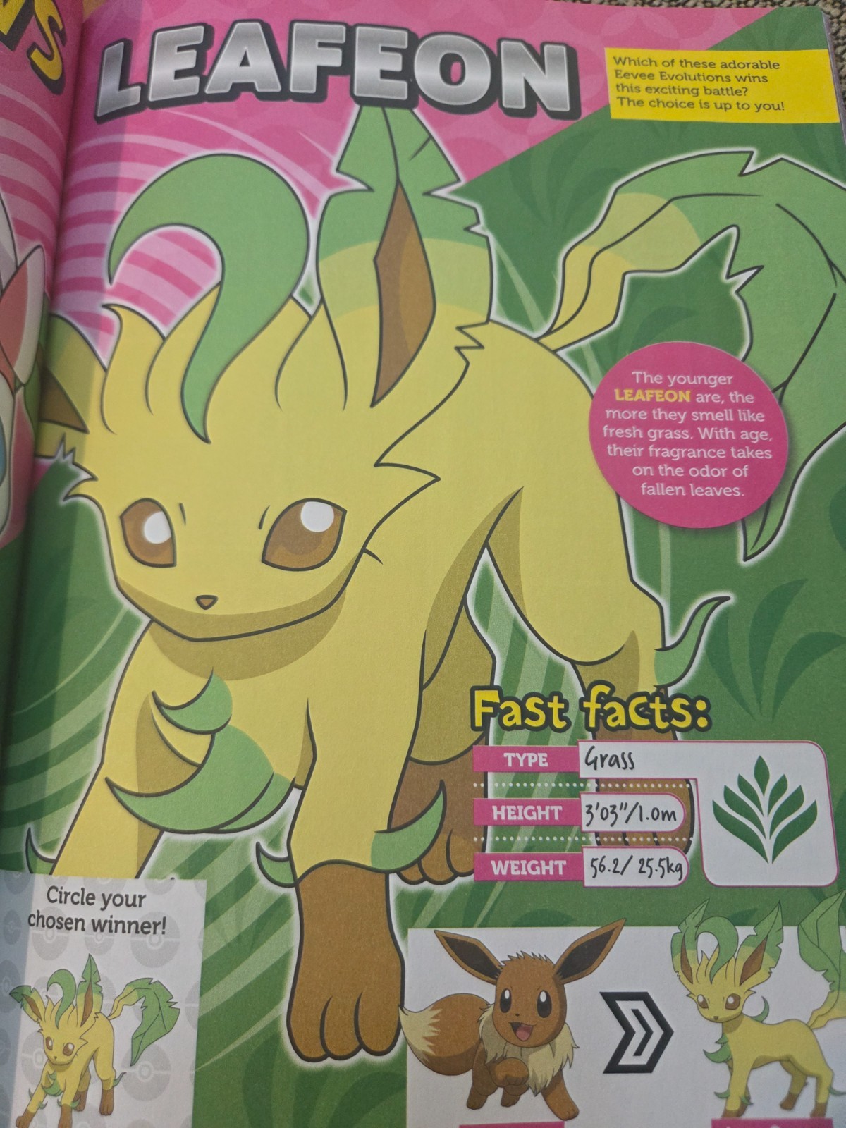 Pokemon Eevee Evolution Collide-100% Official Magazine-Includes 3 Pokemon Cards