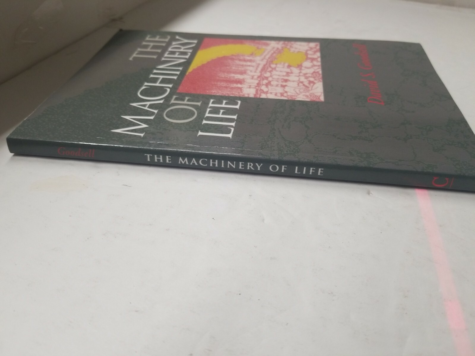 9780387982731