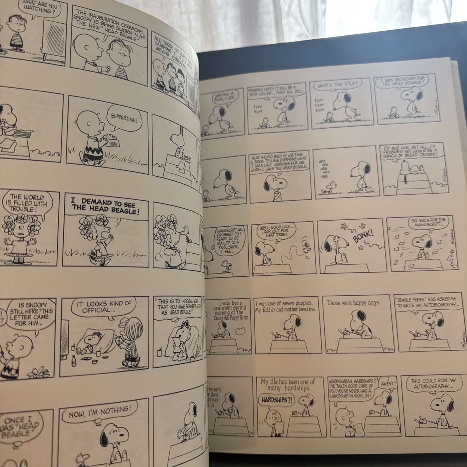 First Edition | The Snoopy Festival | by Charles M. Schulz | HC/DJ Mylar