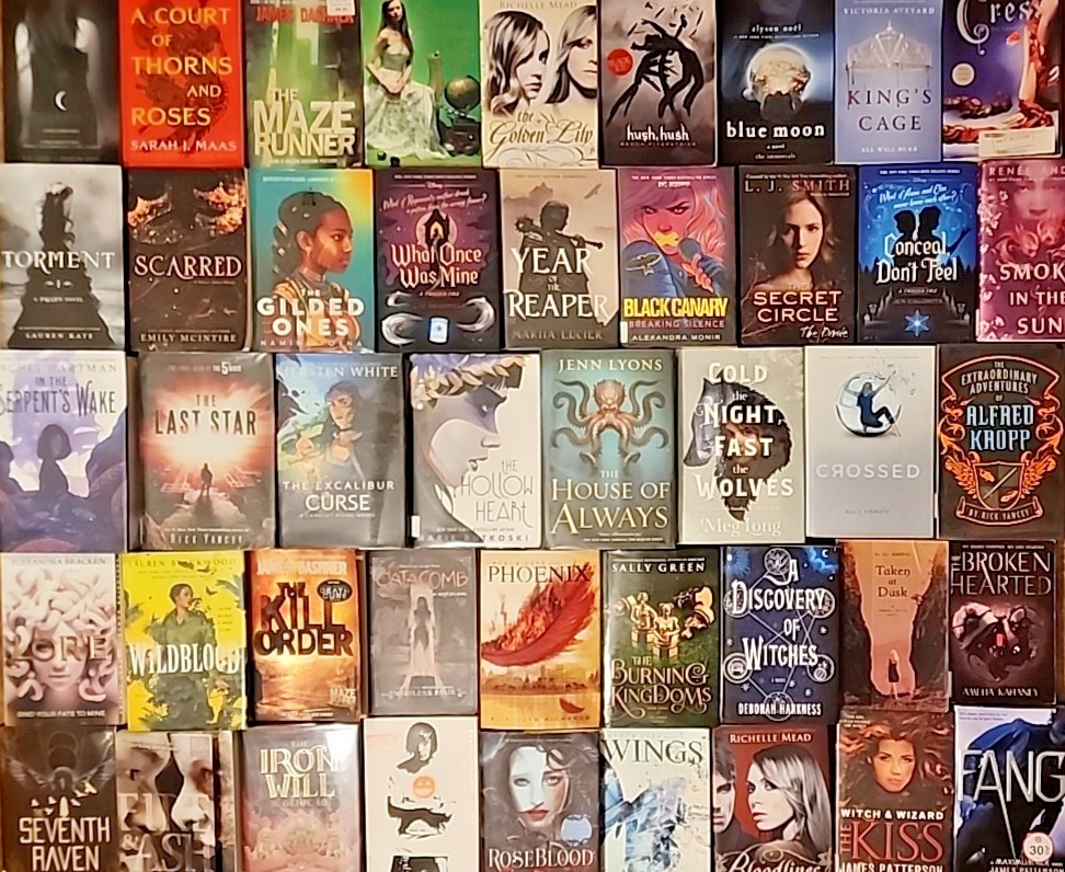 RANDOM MIX Lot of 25 Young Adults YA Teen ROMANTASY SCI-FI DYSTOPIAN PARANORMAL