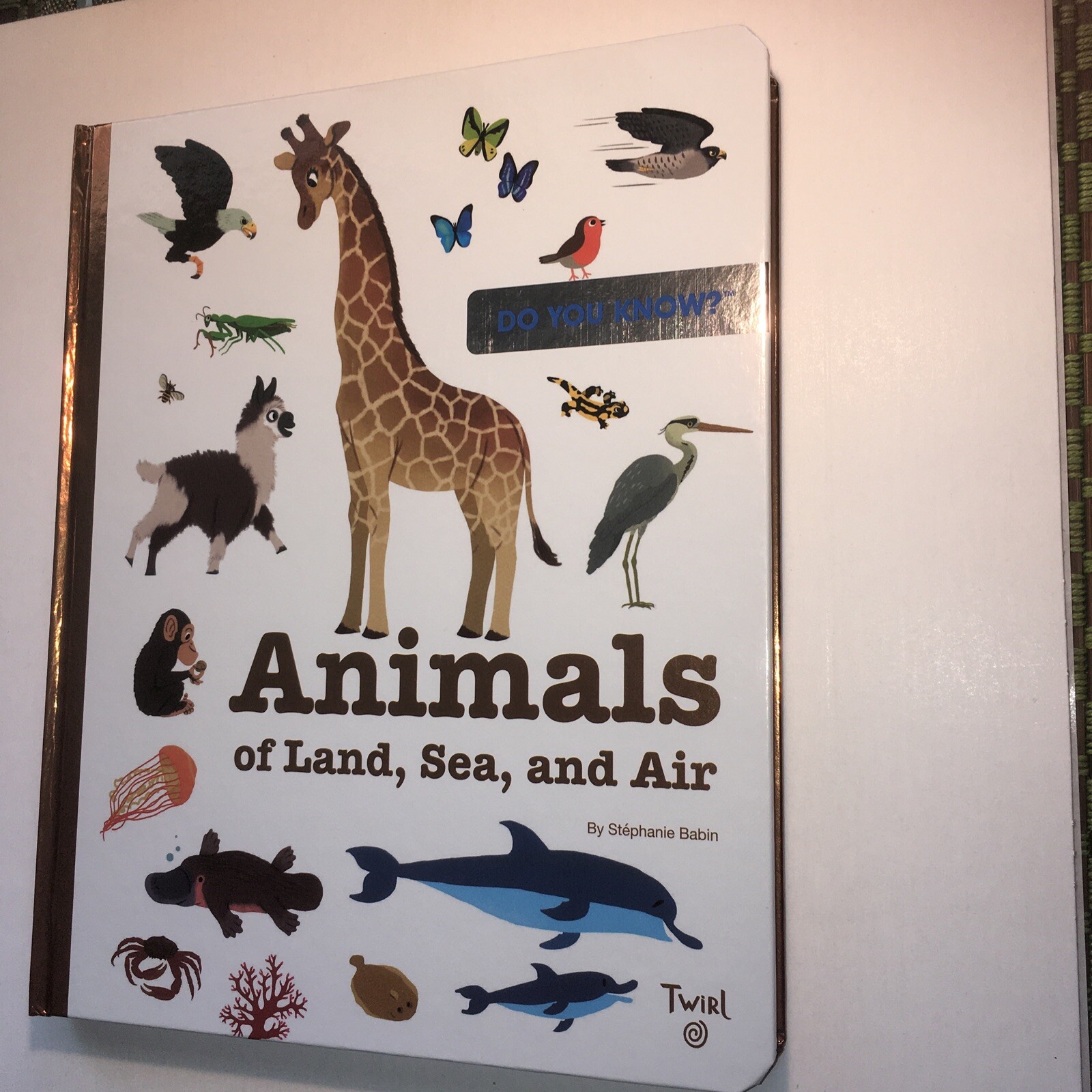 TW Do You Know Ser.: Do You Know?: Animals of Land, Sea, and Air by Stephanie…