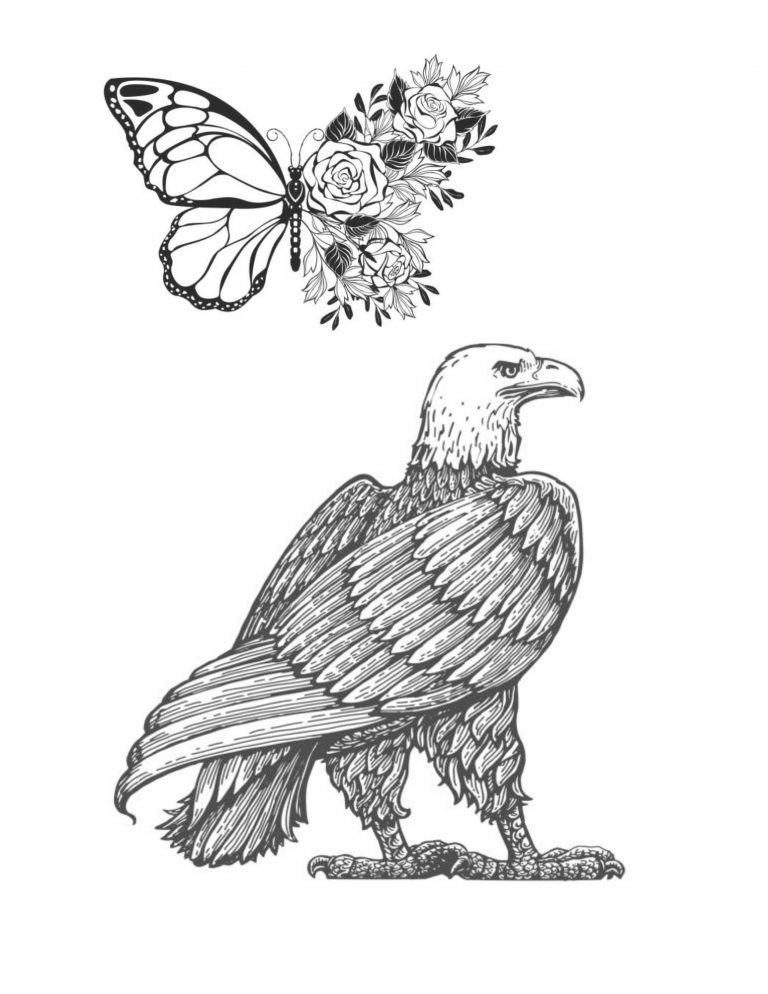 Best Save the Eagles Coloring Save the Planet Series 108 Pages 8.5 x 11 All Ages