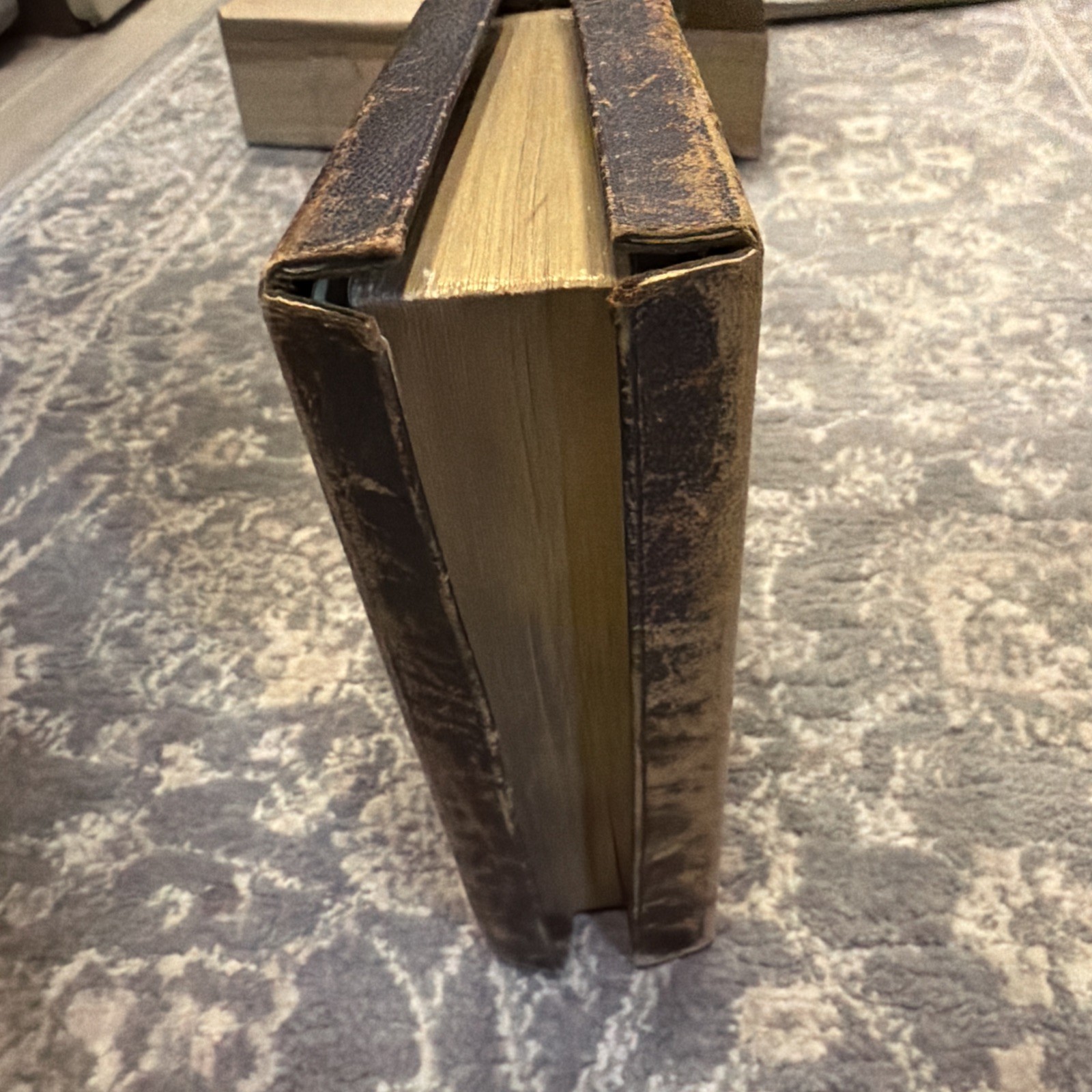 The Holy Bible 1881 New York American Bible Society Original Tongues.