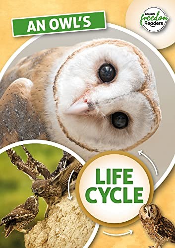 An Owl’s Life Cycle (BookLife Freedom Readers), Tyler 9781801551342 New..
