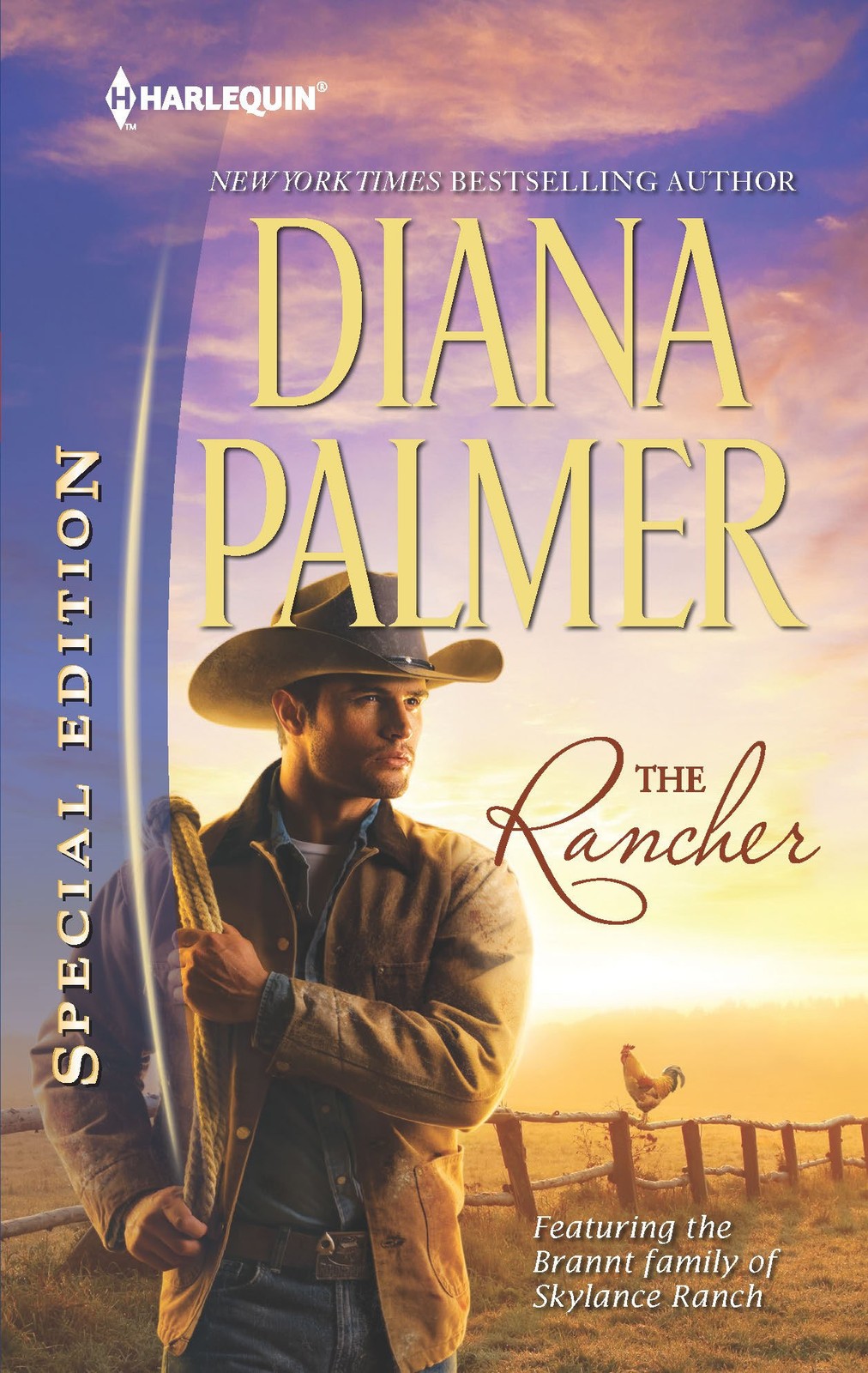 The Rancher (Harlequin Special Edition)