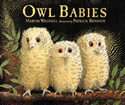 Owl Babies – Board book By Waddell, Martin – GOOD